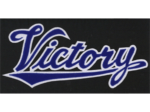 Victory 13 inch synthetic leather back patch blue/white